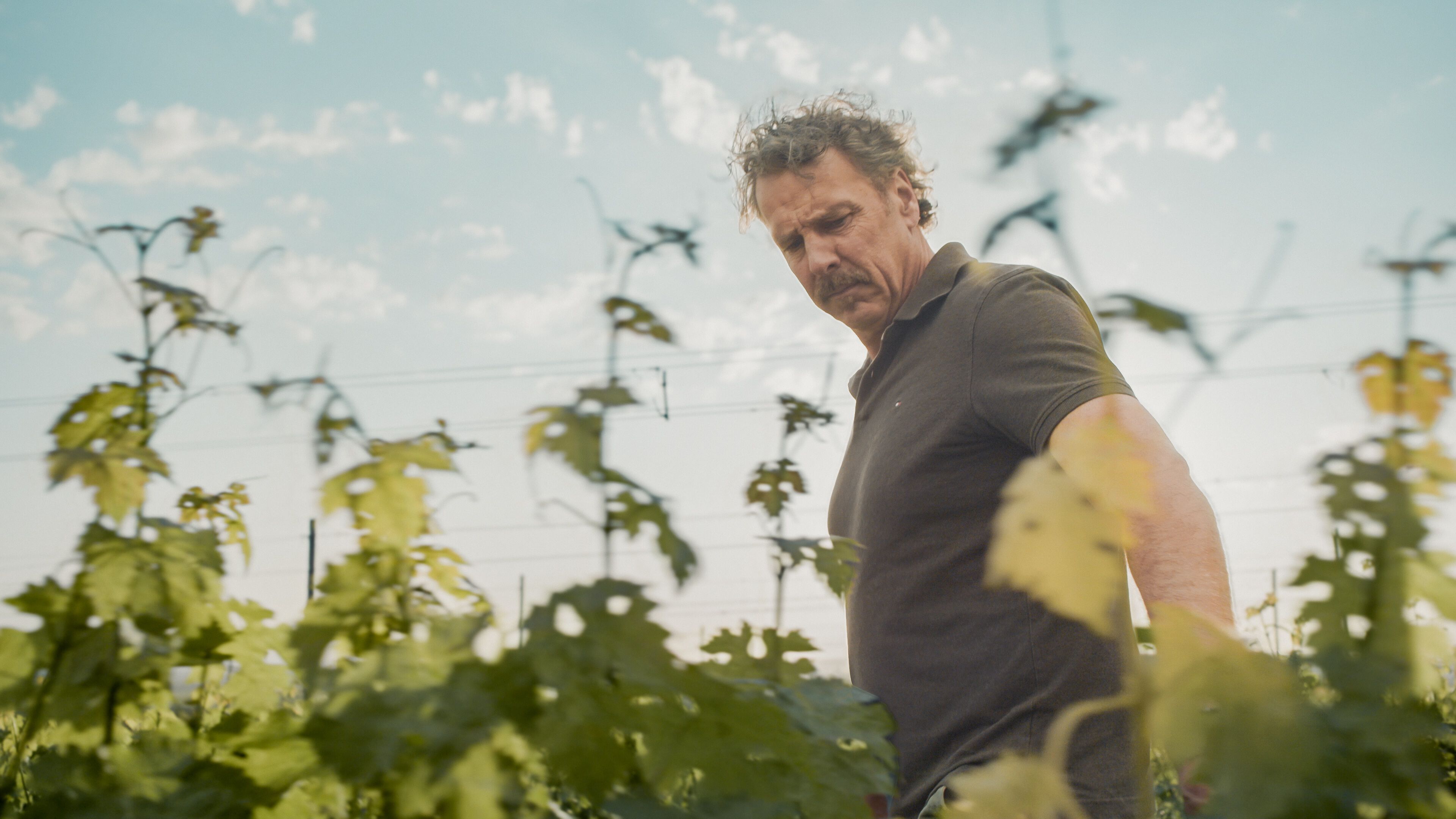 Jett Senior Winemaker Chris Carpentar